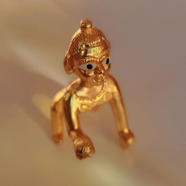 Laddu Gopal ( लड्डू गोपाल मूर्ति)
