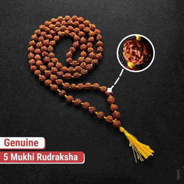 Original Rudraksha Mala 108 Beads